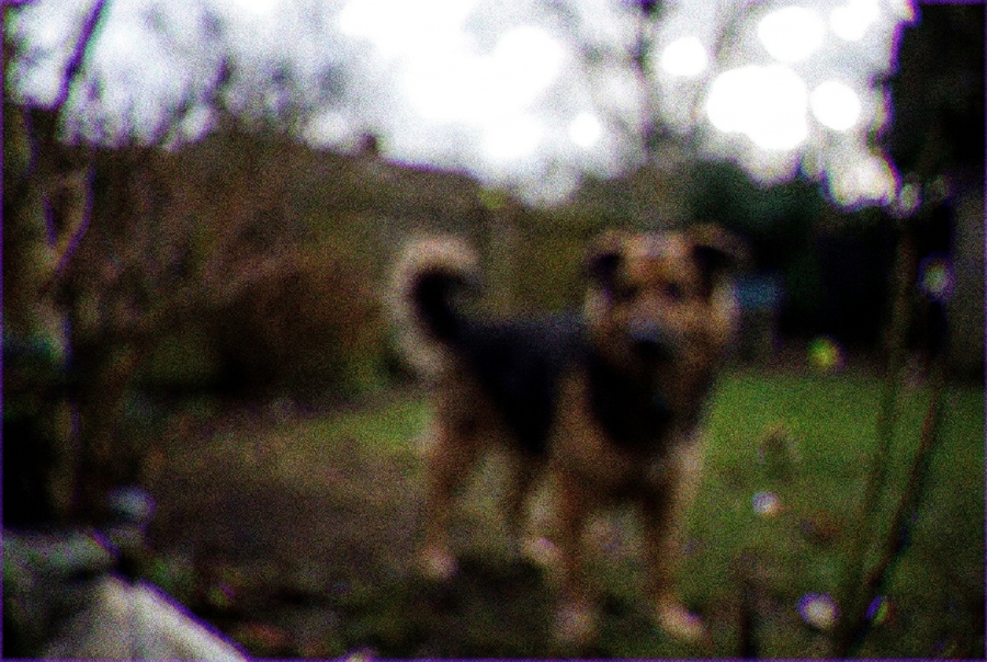 Photo floue prise avec un appareil photo jouet bas de gamme